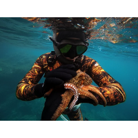 Spearfishing wetsuits