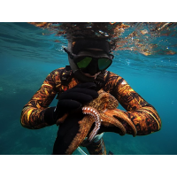 Spearfishing wetsuits and vests